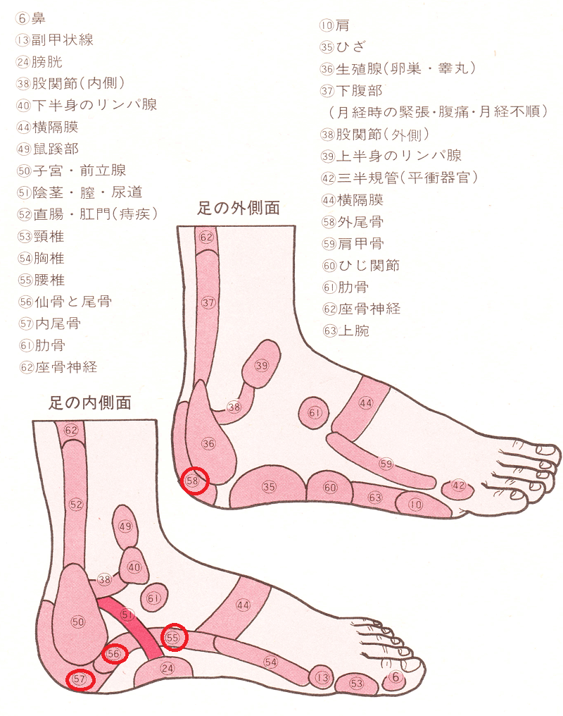 足裏マッサージで頭痛 肩こり 腰痛 病気を予防できる効果と注意点 からだ守り隊